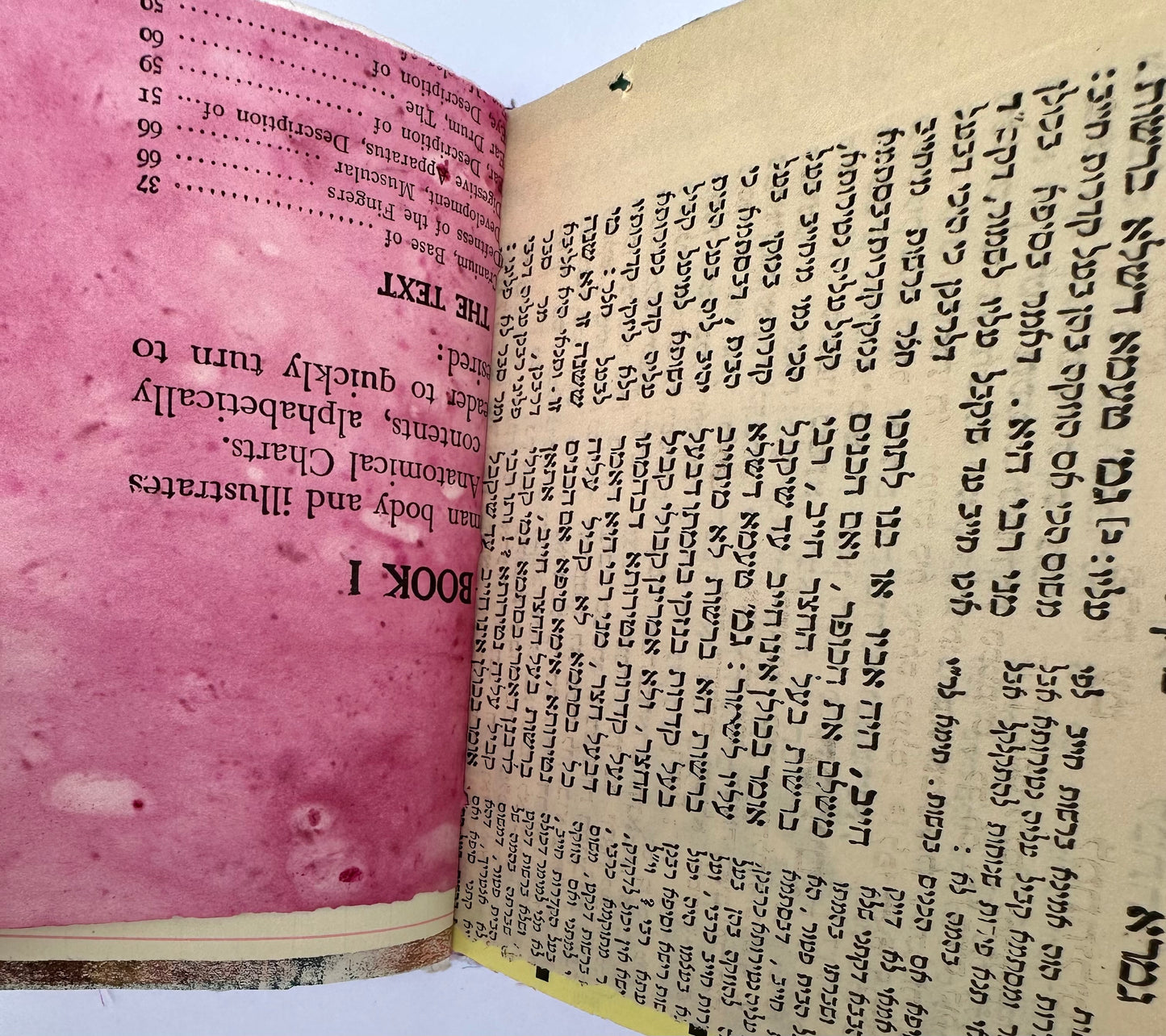 Journal (2A23)