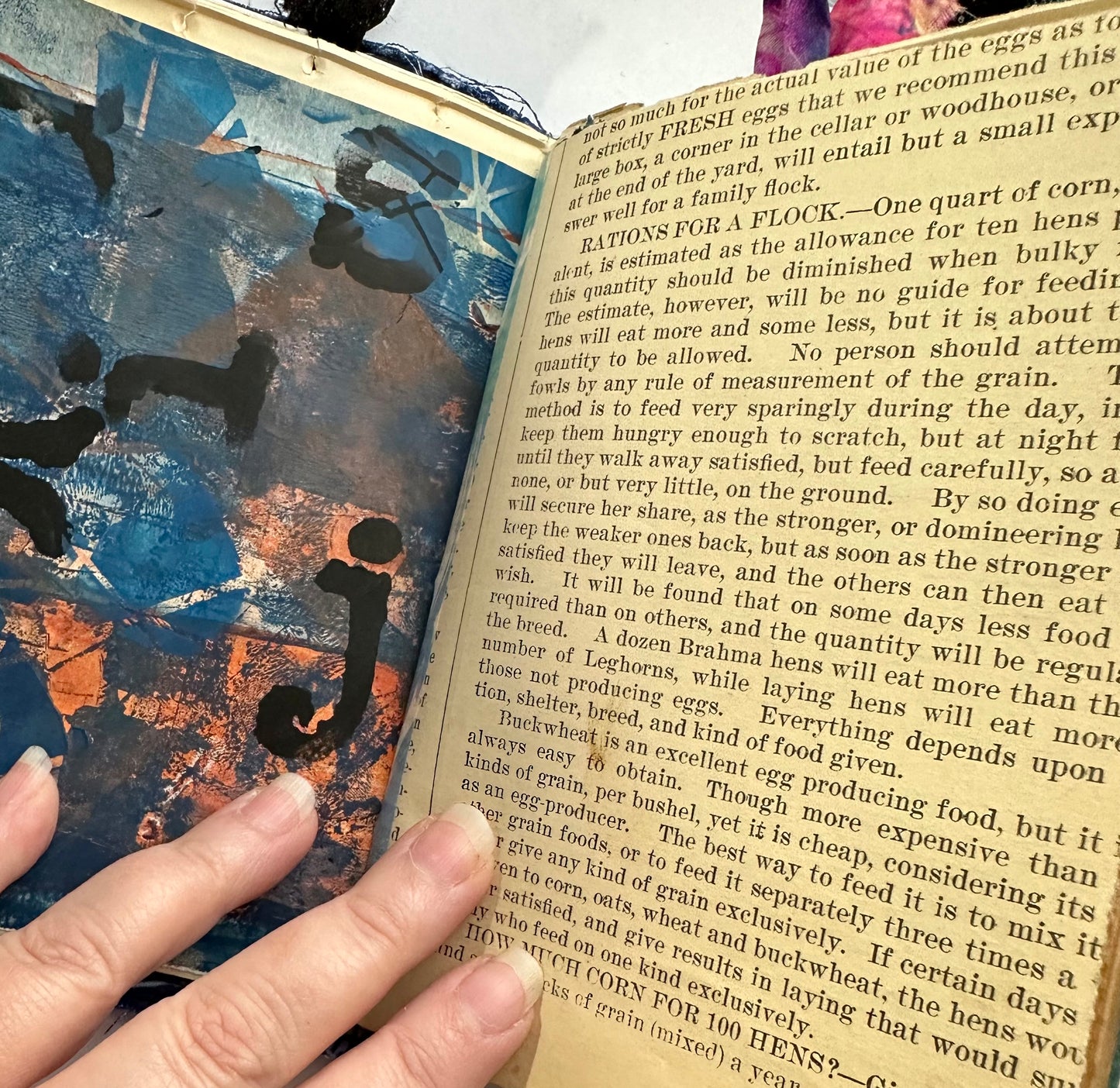 Journal (2n23)