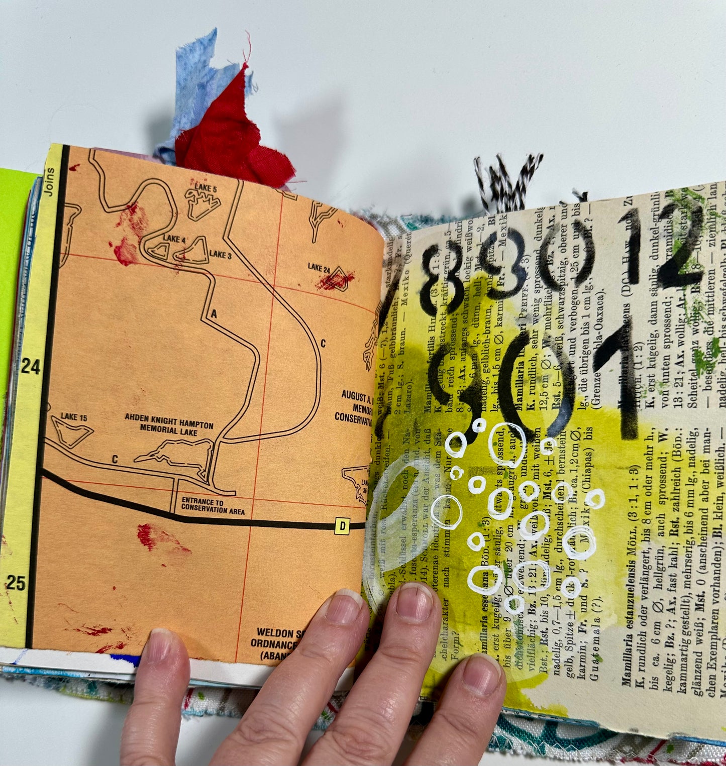 Journal (4e25)